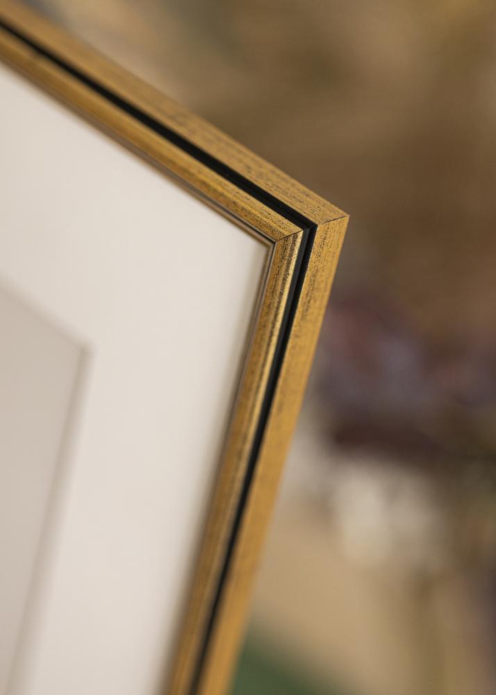 Galleri 1 Rahmen Horndal Acrylglas Gold 28x35 cm