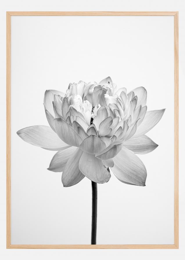 Bildverkstad Grey flower Poster