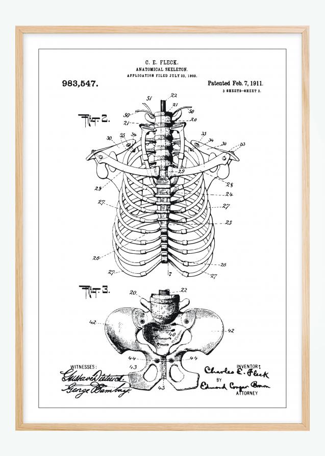 Bildverkstad Patentzeichnung - Anatomisches Skelett II Poster