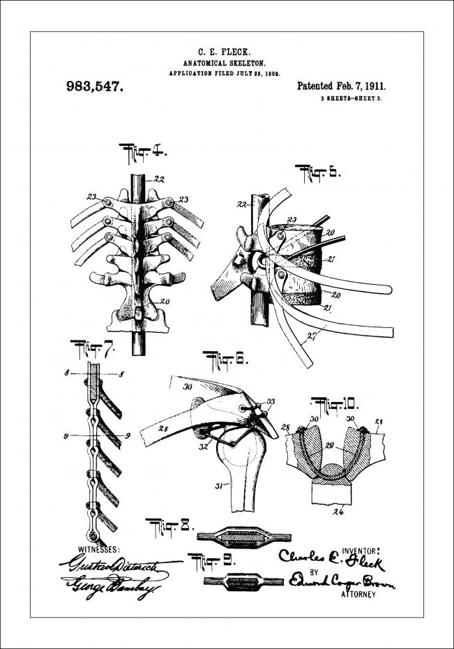 Bildverkstad Patentzeichnung - Anatomisches Skelett III Poster