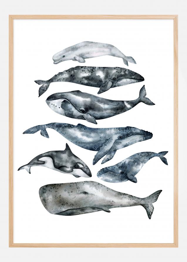 Bildverkstad Whales Poster