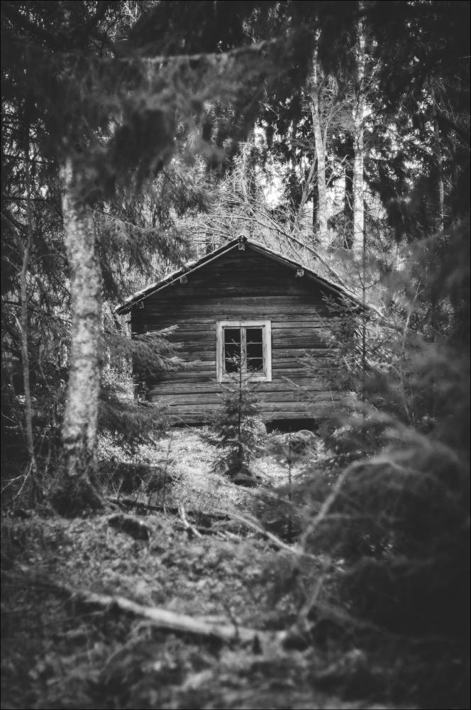 Bildverkstad Into the woods Poster