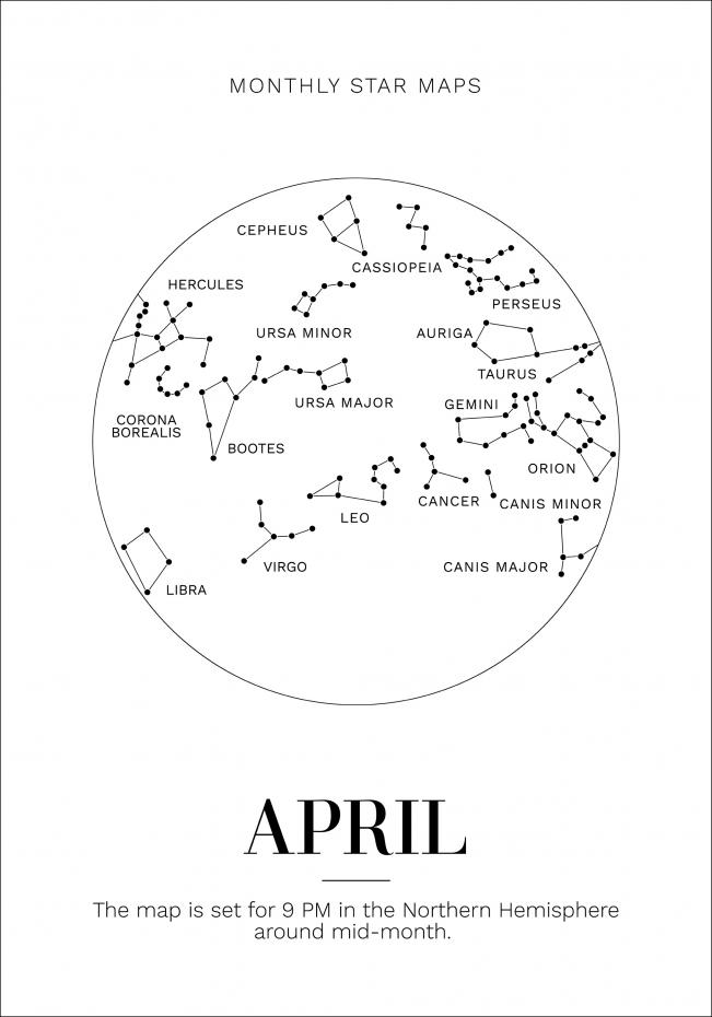 Bildverkstad Monthly star April Poster