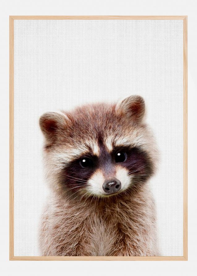 Bildverkstad Peekaboo Raccoon Poster