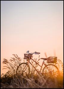 Bildverkstad Bike Ride In The Sunset Poster