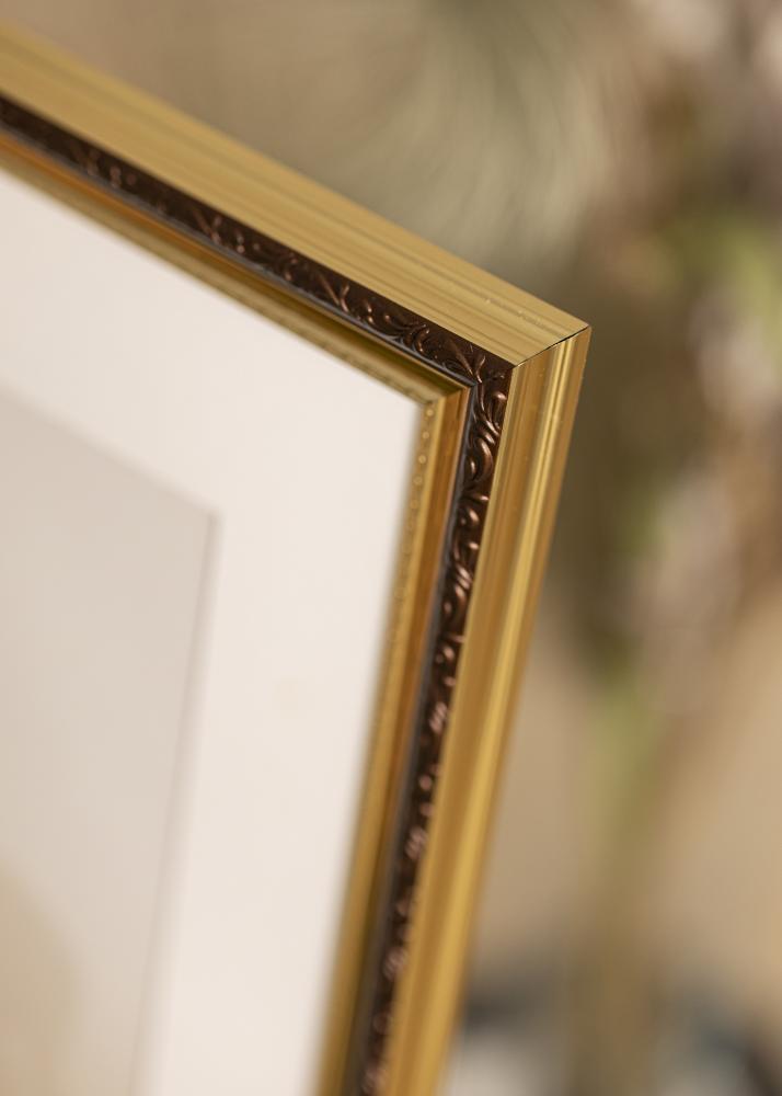 Galleri 1 Rahmen Abisko Acrylglas Gold 18x24 cm