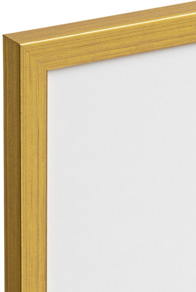 Galleri 1 Rahmen Frame Gold Acrylglass 50x70 cm