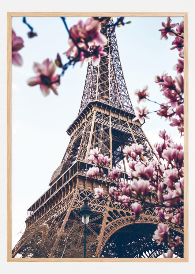 Lagervaror egen produktion Eiffel Tower Blossoms Poster