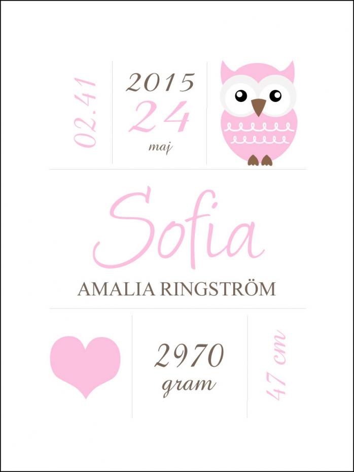 Personlig poster Owl Birth Poster Pink