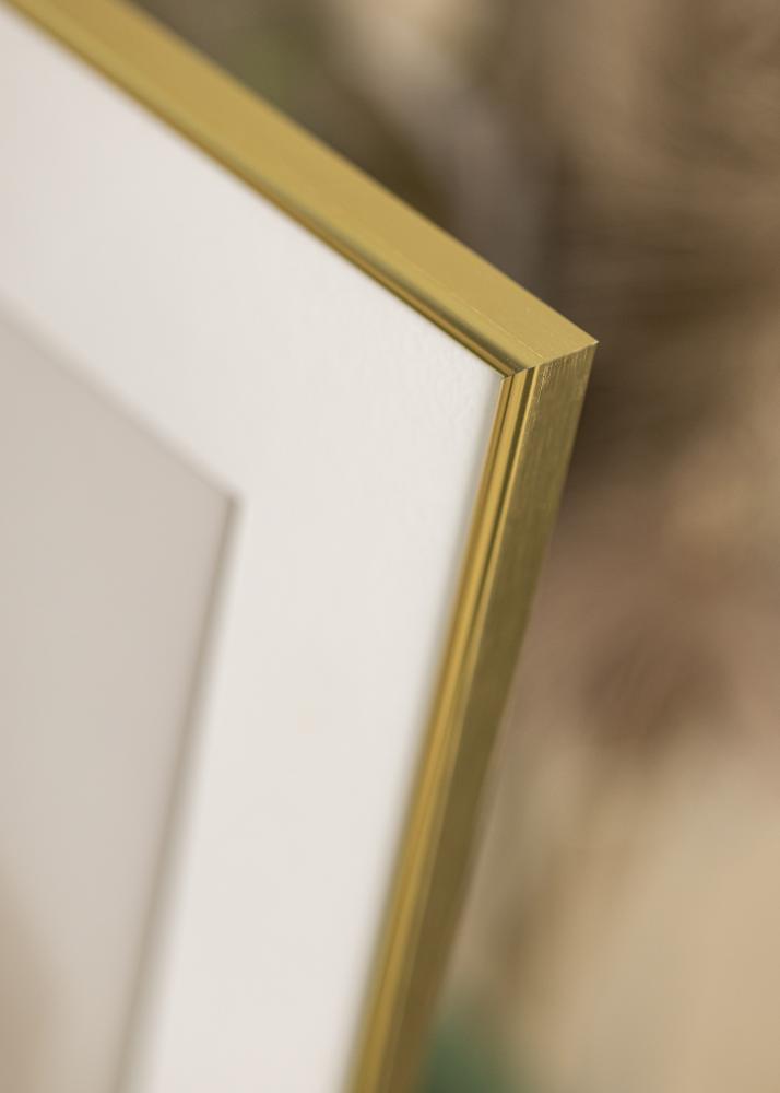 Focus Rahmen Can-Can Gold 18x24 cm