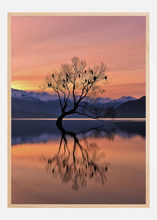 Bildverkstad Lone Tree Is Not Lonely Poster