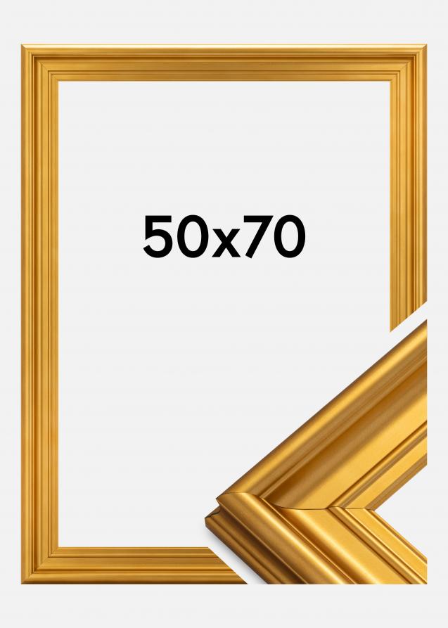 Galleri 1 Rahmen Mora Premium Gold 50x70 cm