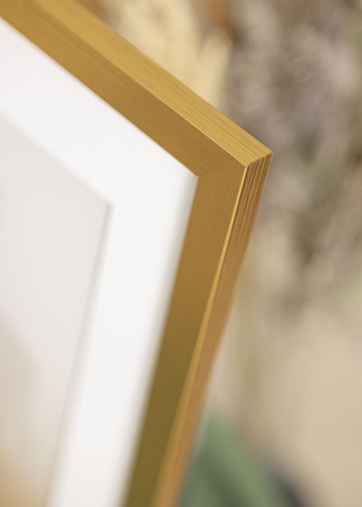 Galleri 1 Rahmen Gold Wood Acrylglas 50x75 cm
