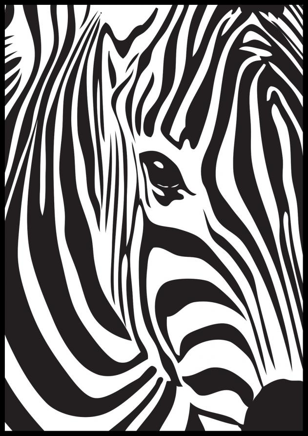Bildverkstad Zebra Poster
