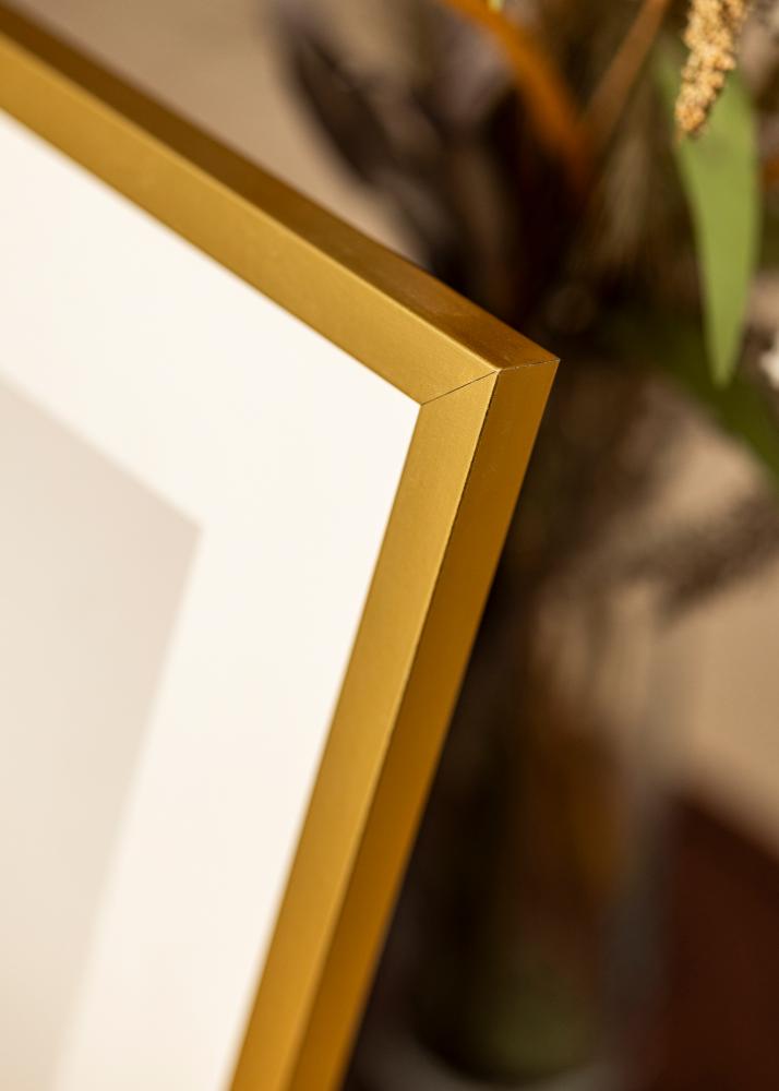 Mavanti Rahmen Minerva Acrylglas Gold 30x30 cm