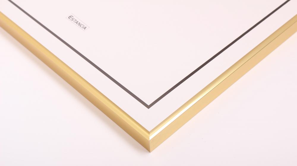 Estancia Rahmen Visby Acrylglas Gold 40x50 cm