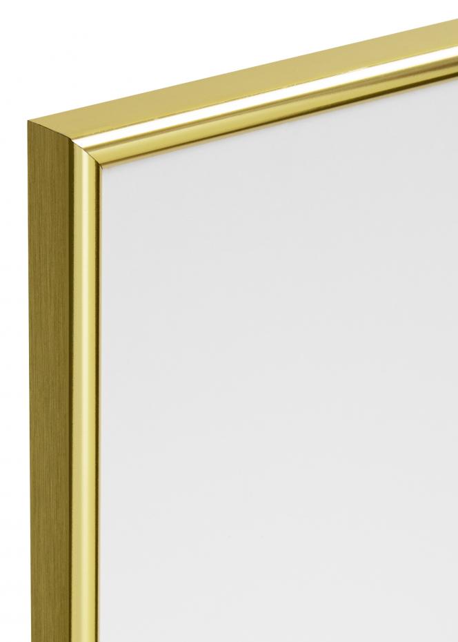 Focus Rahmen Can-Can Gold 10x15 cm
