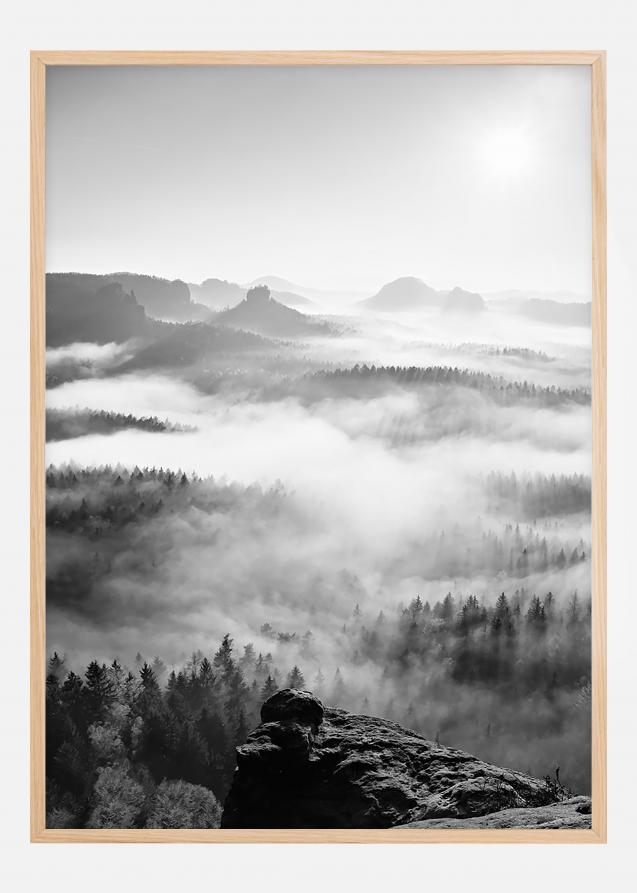 Lagervaror egen produktion Foggy Forest Black & White I - 50x70 cm Poster