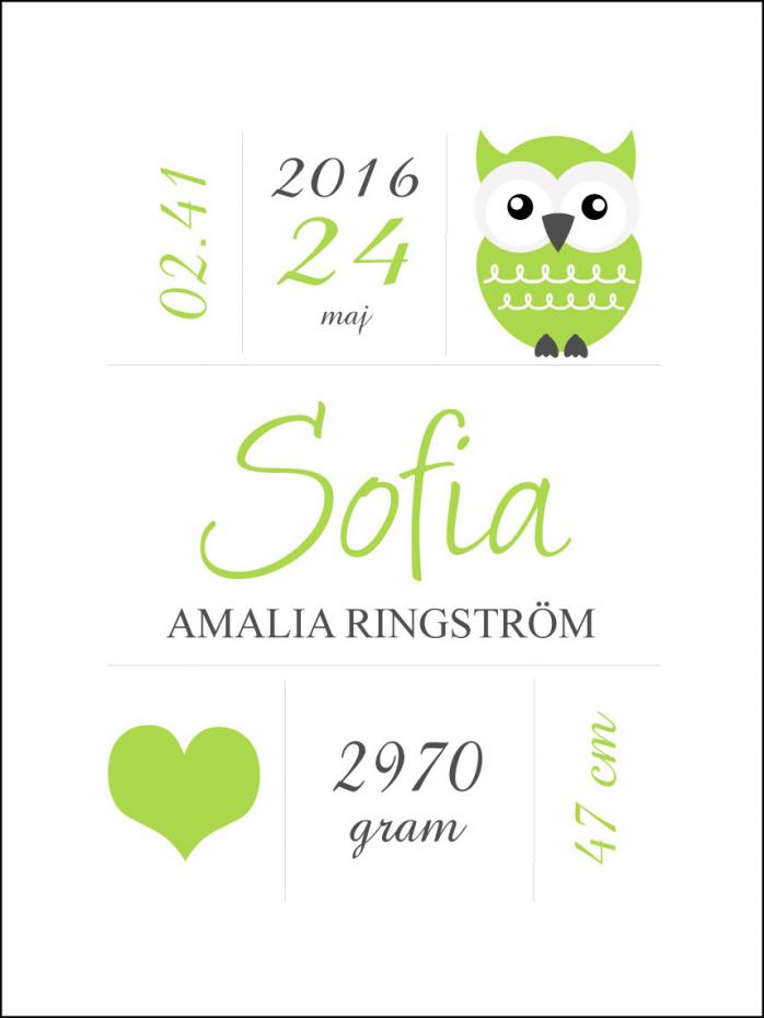 Personlig poster Owl Birth Poster Green