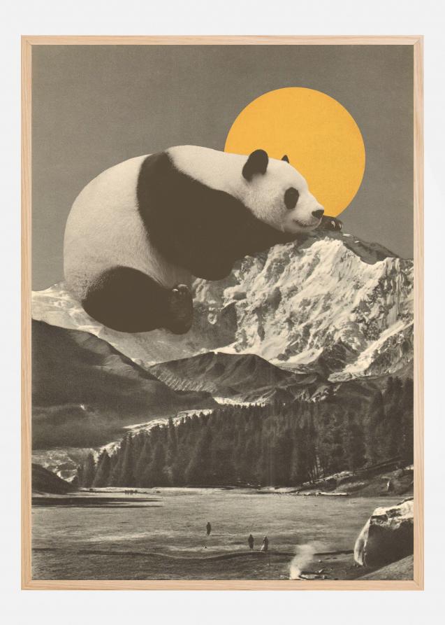 Bildverkstad Giant Panda Nap Poster