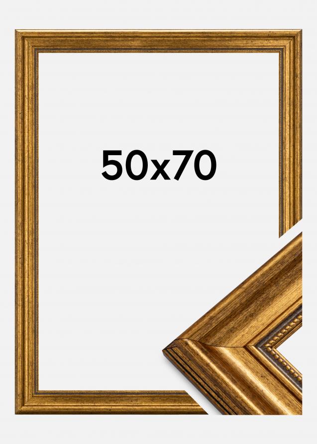 Estancia Rahmen Rokoko Acrylglas Gold 50x70 cm