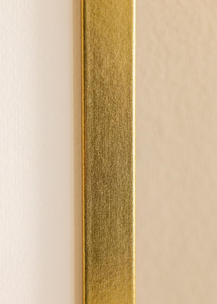 Mavanti Rahmen Minerva Acrylglas Gold 29,7x42 cm (A3)