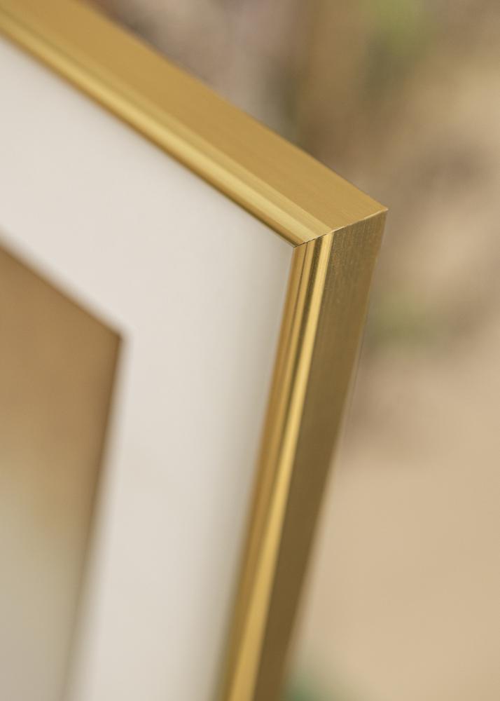 Walther Rahmen Galeria Gold 20x30 cm