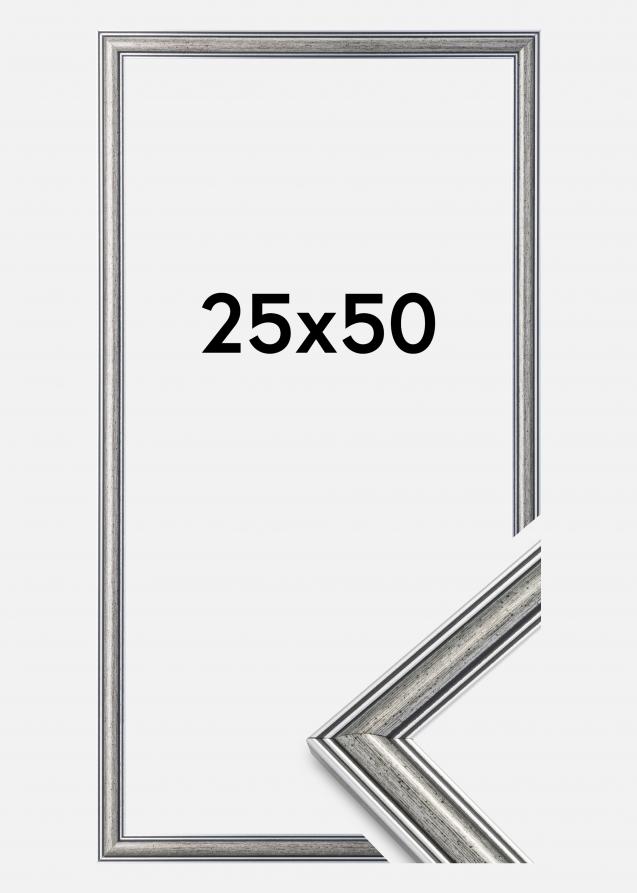 Artlink Rahmen Frigg Silber 25x50 cm