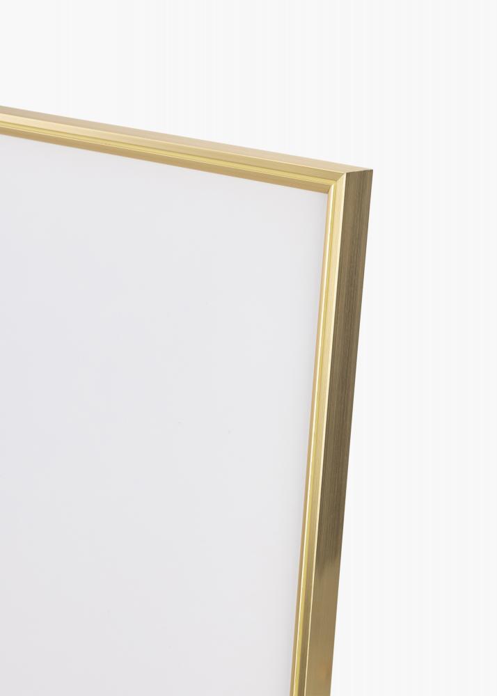 Walther Rahmen Hipster Acrylglas Gold 70x100 cm