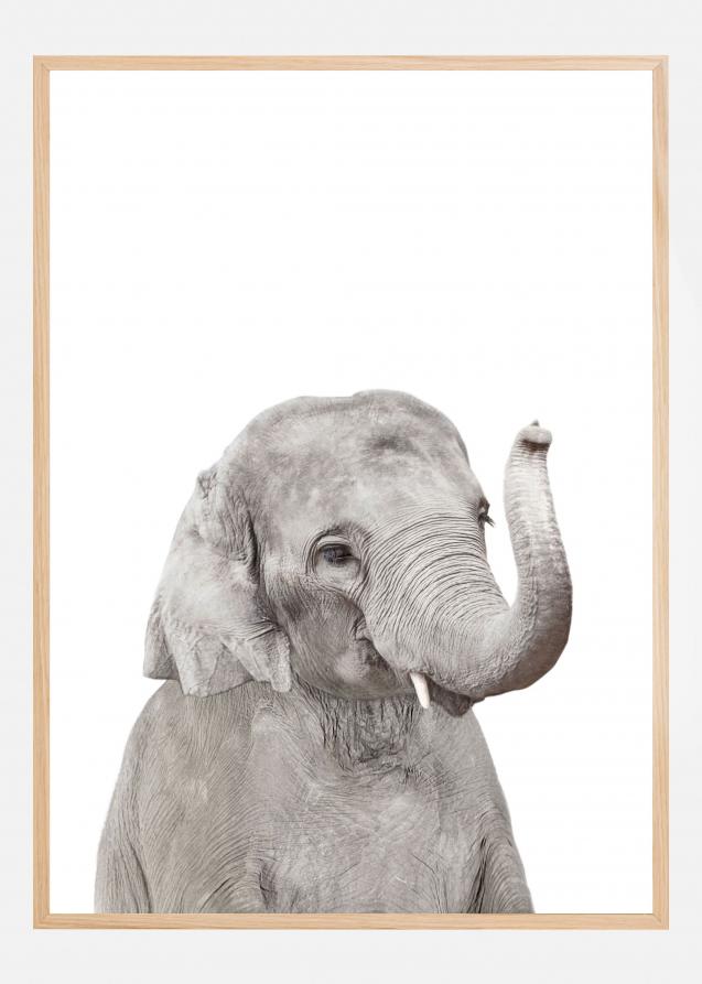 Bildverkstad Baby Elephant Poster