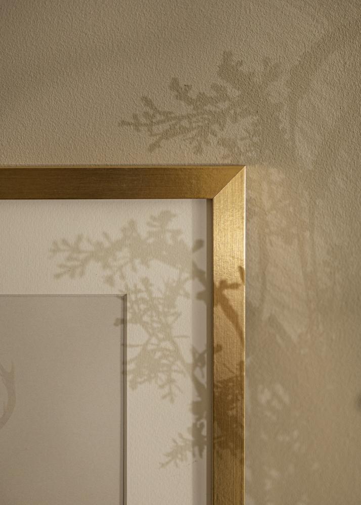Artlink Rahmen Selection Acrylglas Gold 70x90 cm