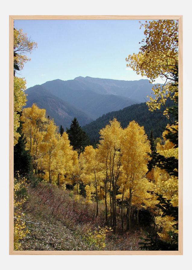 Bildverkstad Yellow Trees Poster