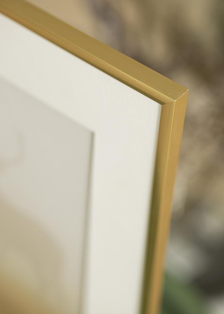 Walther Rahmen New Lifestyle Acrylglas Shiny Gold 20x30 cm