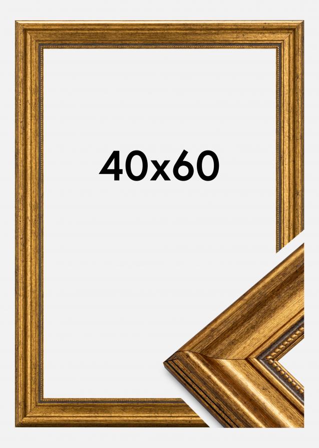 Estancia Rahmen Rokoko Acrylglas Gold 40x60 cm