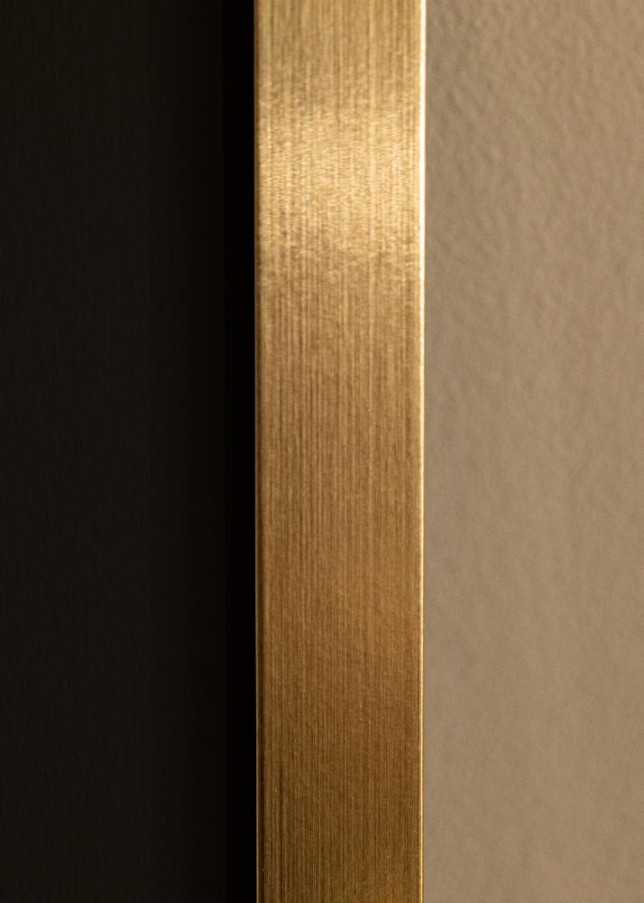Ram med passepartou Rahmen Selection Gold 50x70 cm - Passepartout Schwarz 42x59,4 cm (A2)