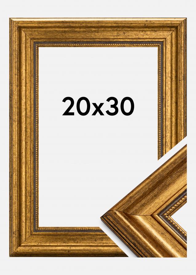 Estancia Rahmen Rokoko Acrylglas Gold 20x30 cm