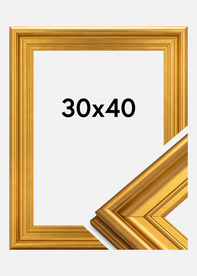 Galleri 1 Rahmen Mora Premium Gold 30x40 cm