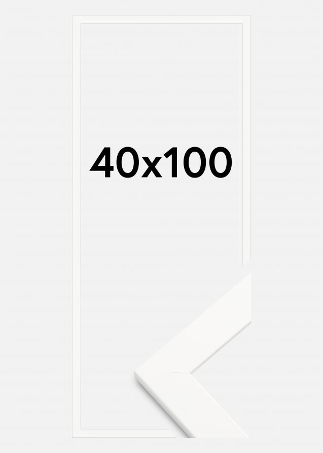 Artlink Rahmen Trendline Acrylglas Weiß 40x100 cm