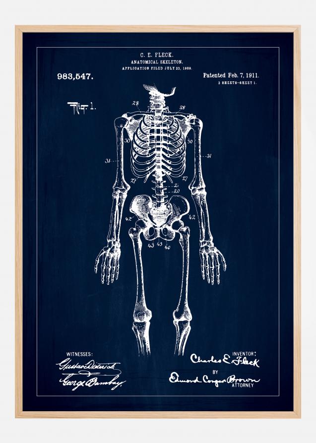 Bildverkstad Patentzeichnung - Anatomisches Skelett I - Blau Poster