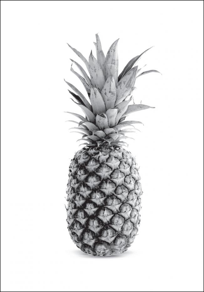 Bildverkstad Pineapple Grey Poster