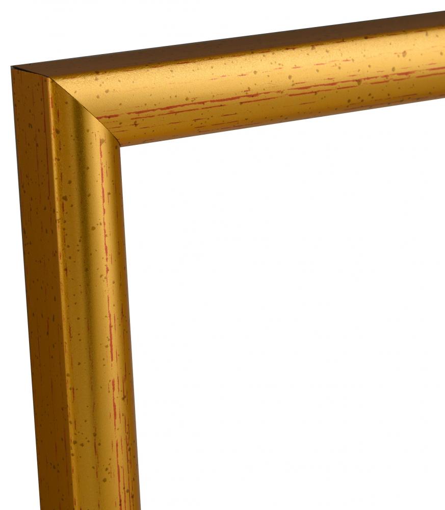 Estancia Rahmen Newline Gold 21x29,7 cm (A4)