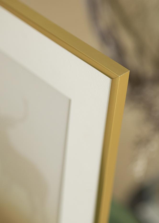 Walther Rahmen New Lifestyle Acrylglas Gold 40x60 cm