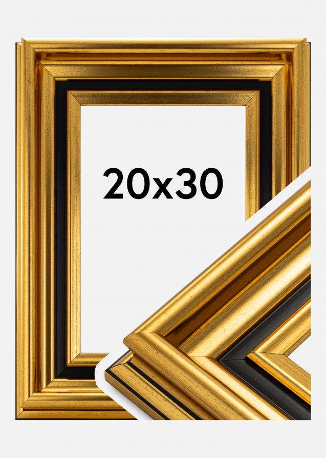 Ramverkstad Rahmen Gysinge Premium Gold 20x30 cm