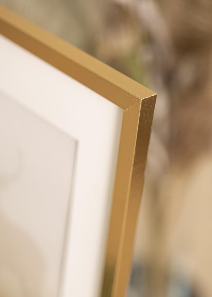 Artlink Rahmen Trendy Acrylglas Gold 21x29,7 cm (A4)