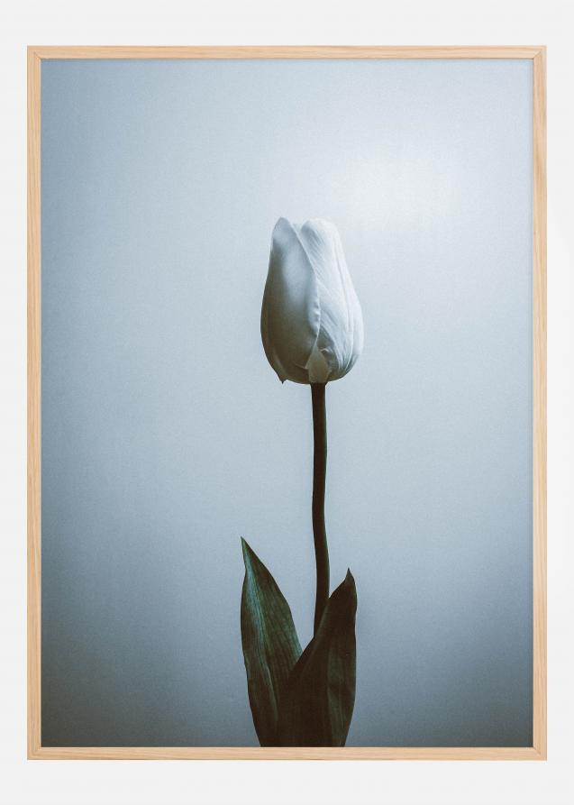 Bildverkstad Lonely White Rose Poster