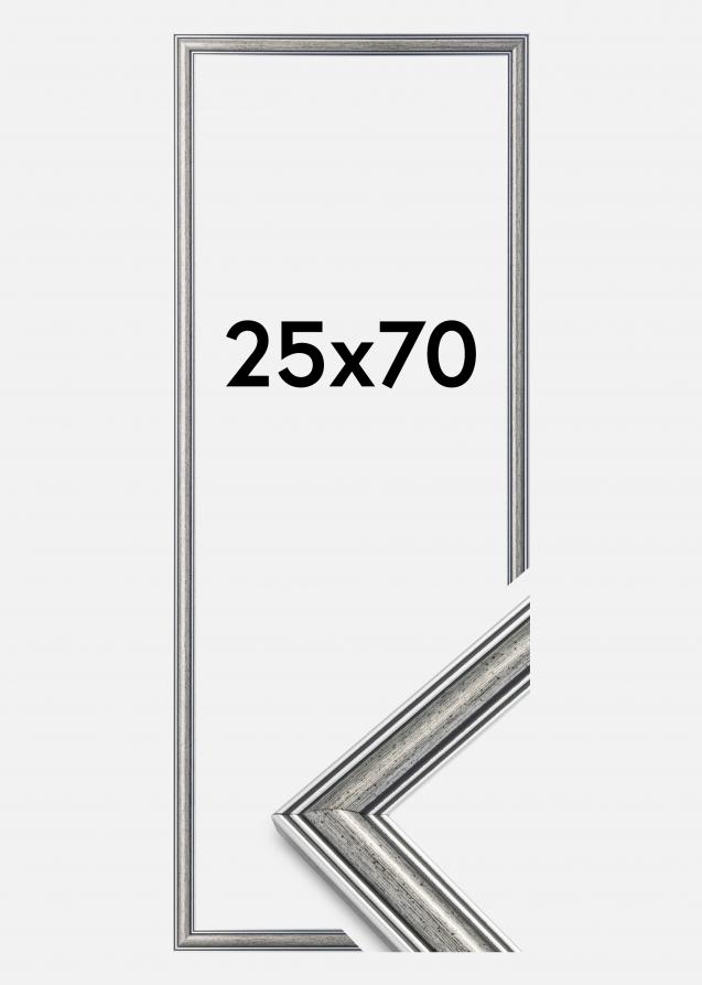 Artlink Rahmen Frigg Silber 25x70 cm
