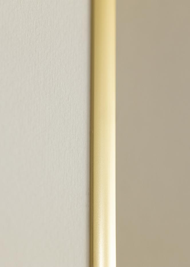 Walther Rahmen New Lifestyle Acrylglas Gold 70x100 cm