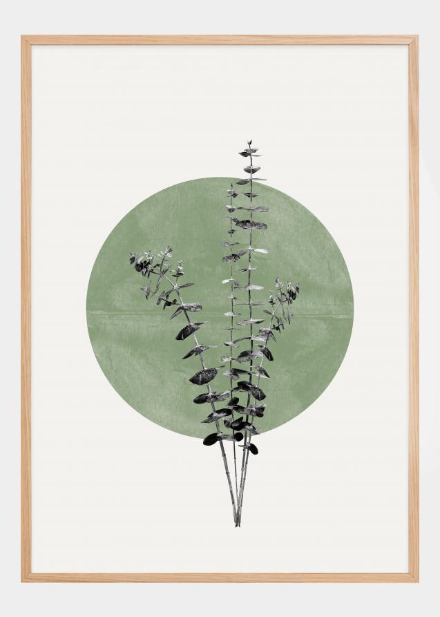 Bildverkstad Eucalyptus and Green Moon Poster