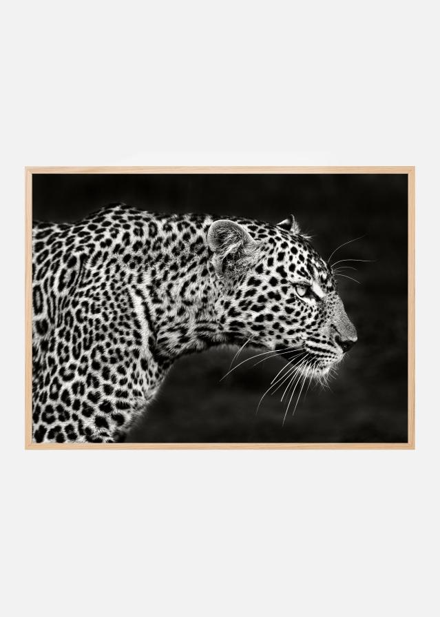 Bildverkstad Leopard Close Up Poster