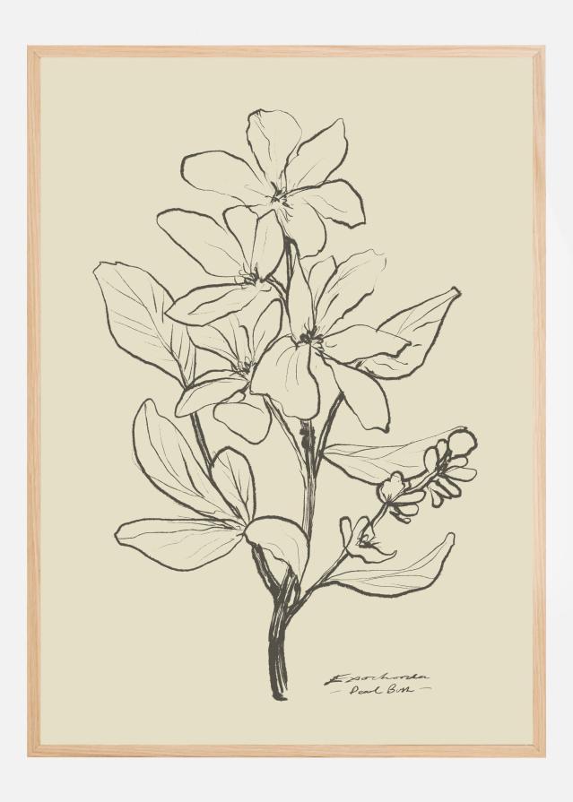 Bildverkstad Floral 1 Poster